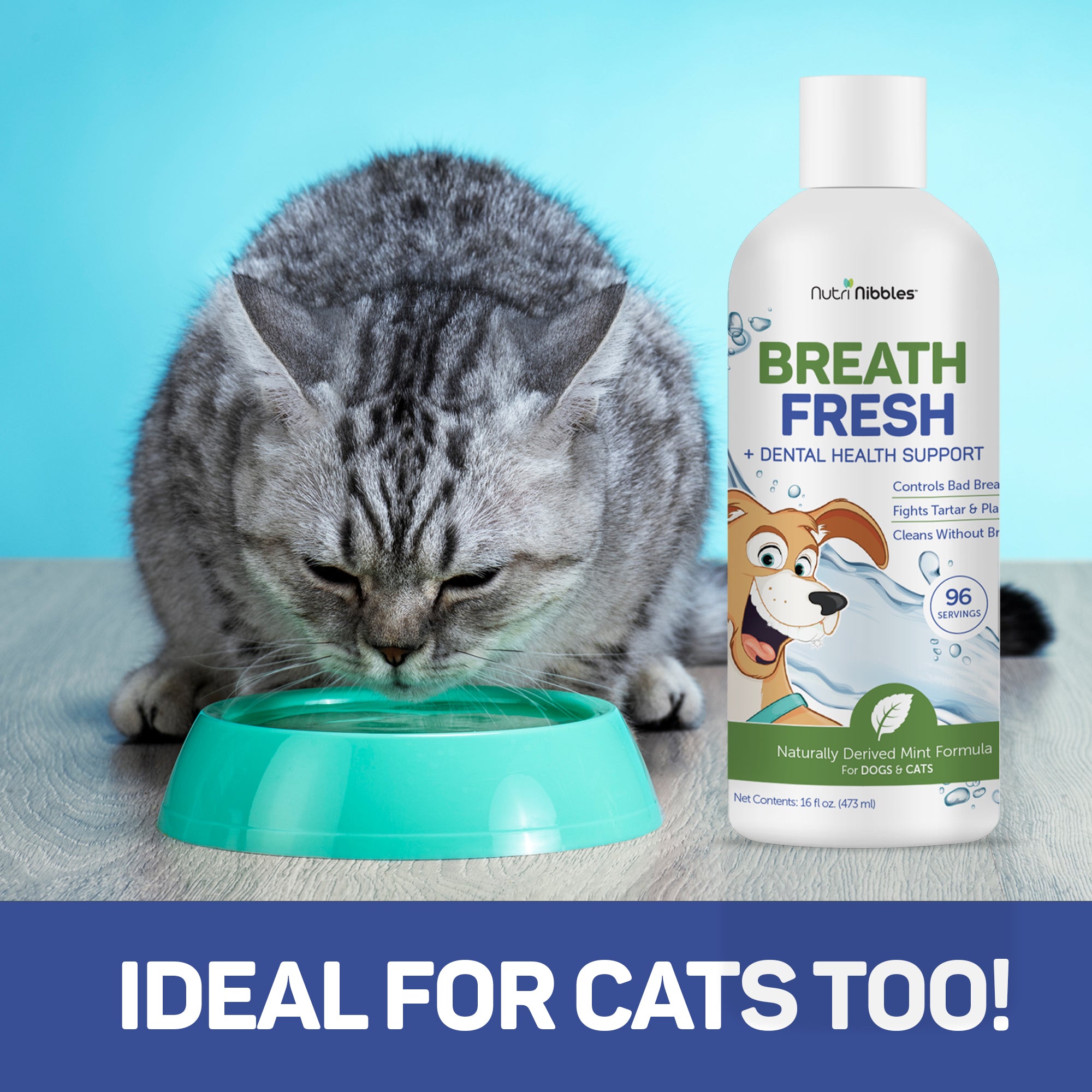 Fresh Breath + Oral Health -  Water Additive for Pets
